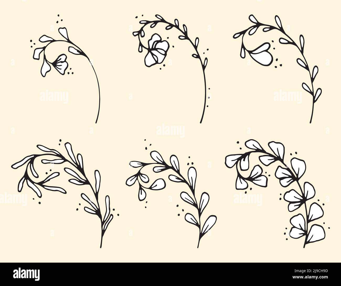 Ensemble de feuilles et de branches vectorielles de caniche dessinées à la main. Collection d'arbres Floral, éléments végétaux Illustration de Vecteur