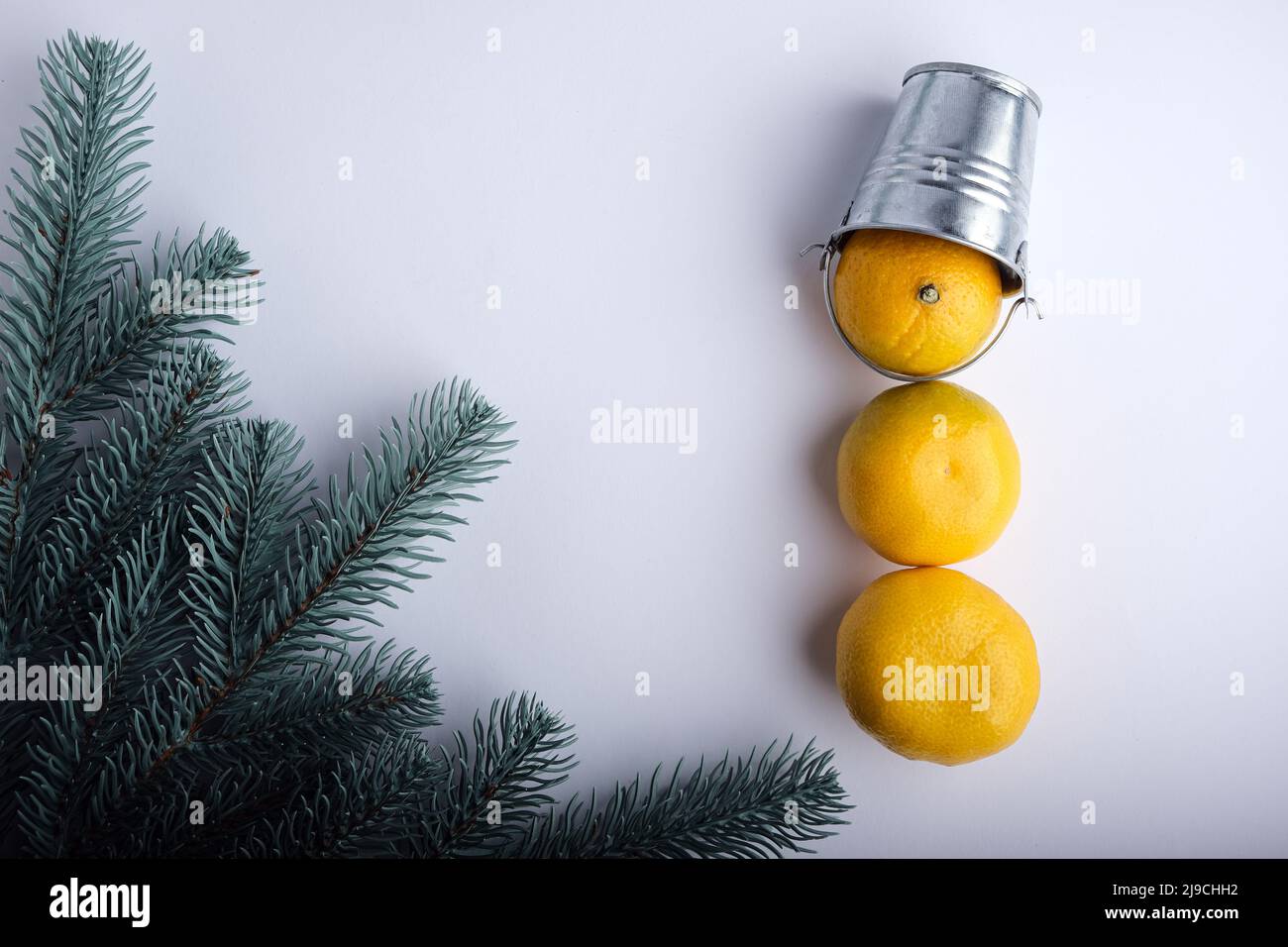 Mandarines sur fond blanc avec une branche d'un arbre de Noël. Banque D'Images