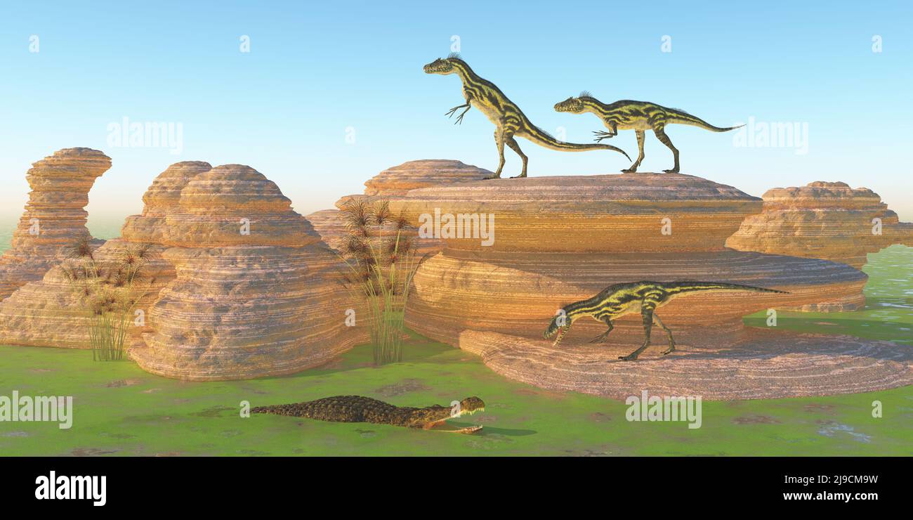Un reptile de Sarcosuchus attend un dinosaure de Deltadromeus qui veut boire de l'eau pendant la période crétacée de l'Afrique. Banque D'Images