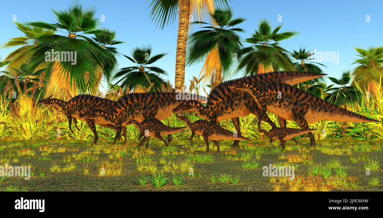 Un troupeau de dinosaures herbivores d'Hadrosaur Saurolophus se promène parmi la végétation tropicale et les palmiers. Banque D'Images