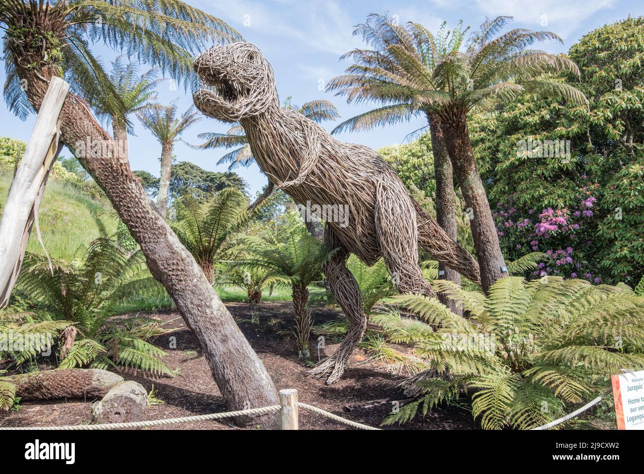 Rexy (le Loganosaurus Rex) au jardin botanique de Logan, jardin subtropical exotique Banque D'Images