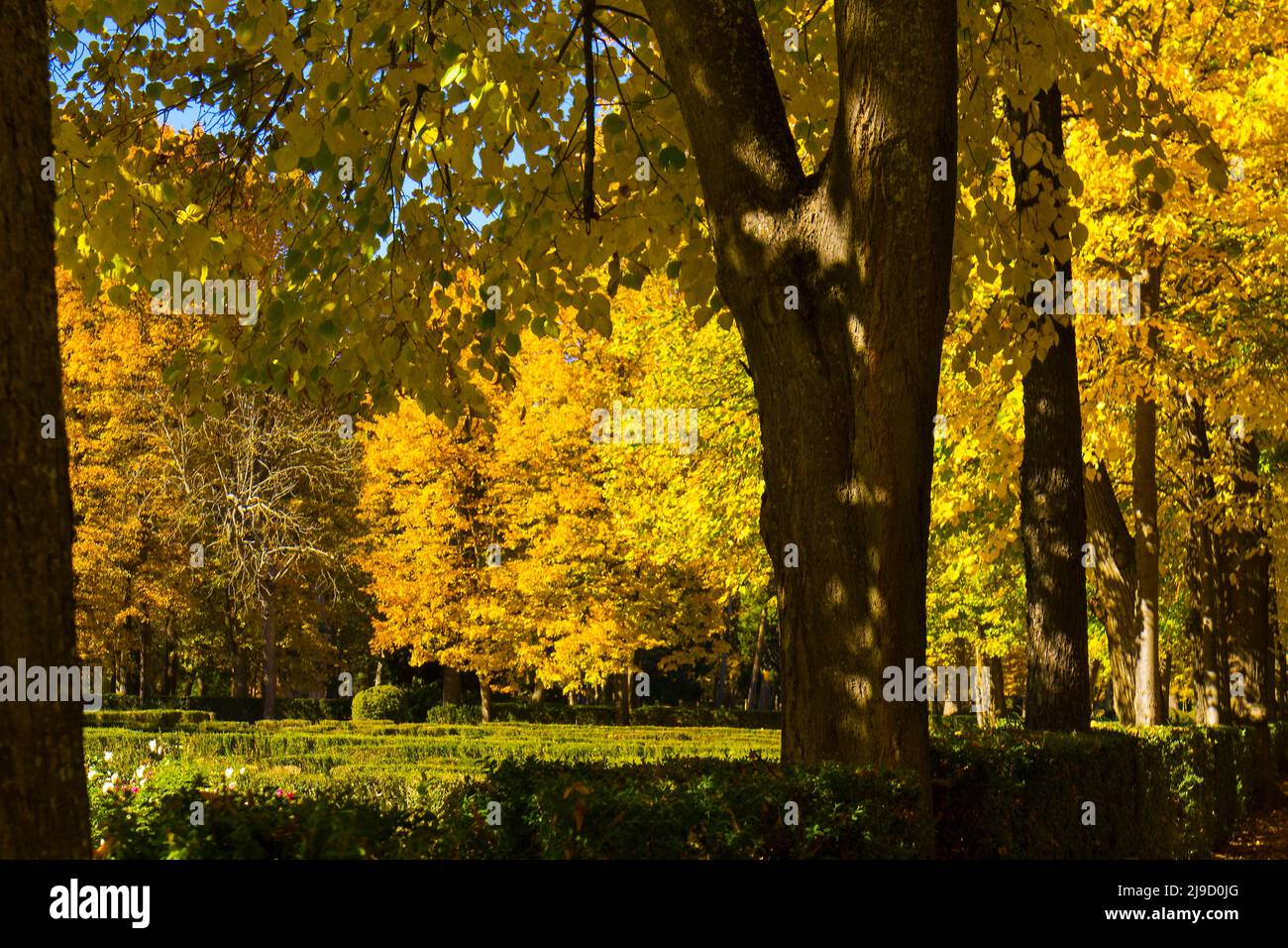 Jardins d'Aranjuez, Madrid, Espagne Banque D'Images