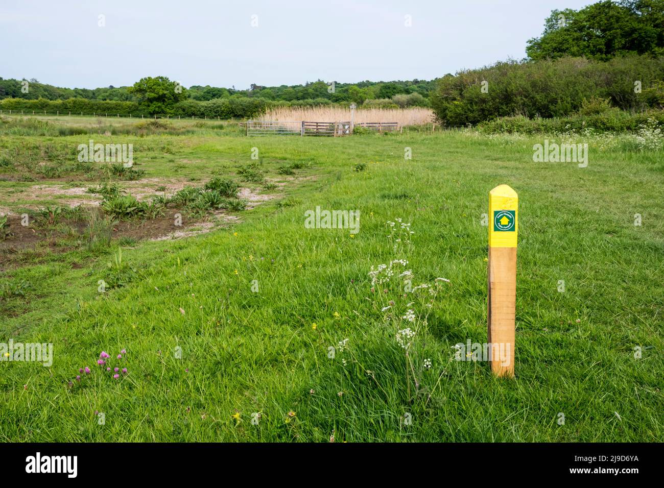 Un marqueur de chemin public sur le sentier de randonnée circulaire de Snettisham à travers les marais d'eau douce sur la rive E de la Washington. Banque D'Images