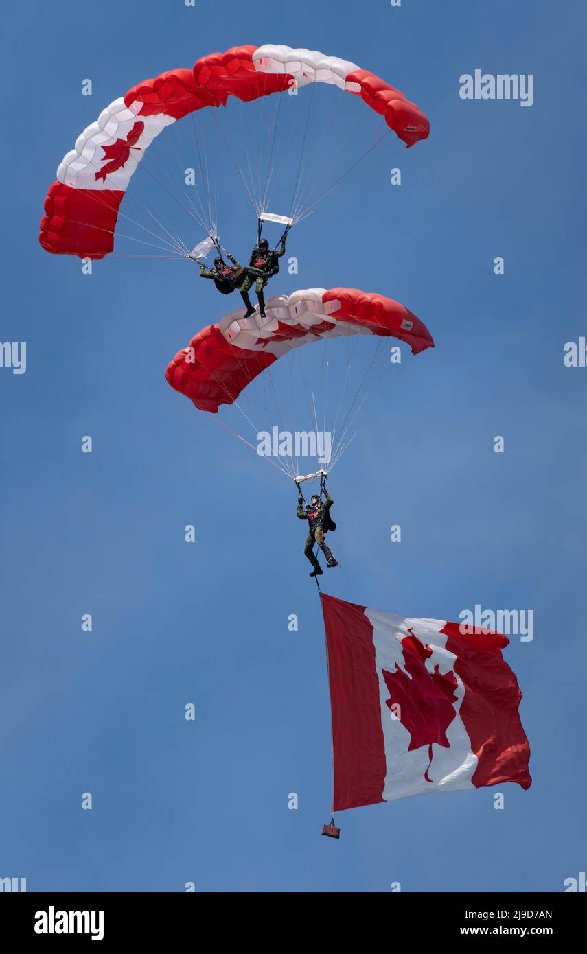 Les membres de l'équipe de parachutistes des Forces armées canadiennes, les Skyhawks, ont le drapeau canadien dans une formation de trois personnes au-dessus de Victoria, en Colombie-Britannique Banque D'Images