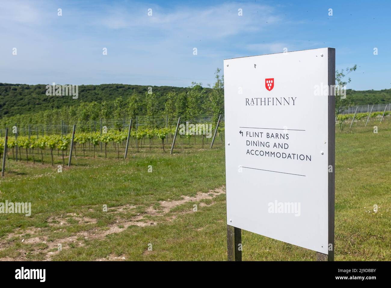 Rathfinny Wine Estate, East Sussex, Royaume-Uni Banque D'Images