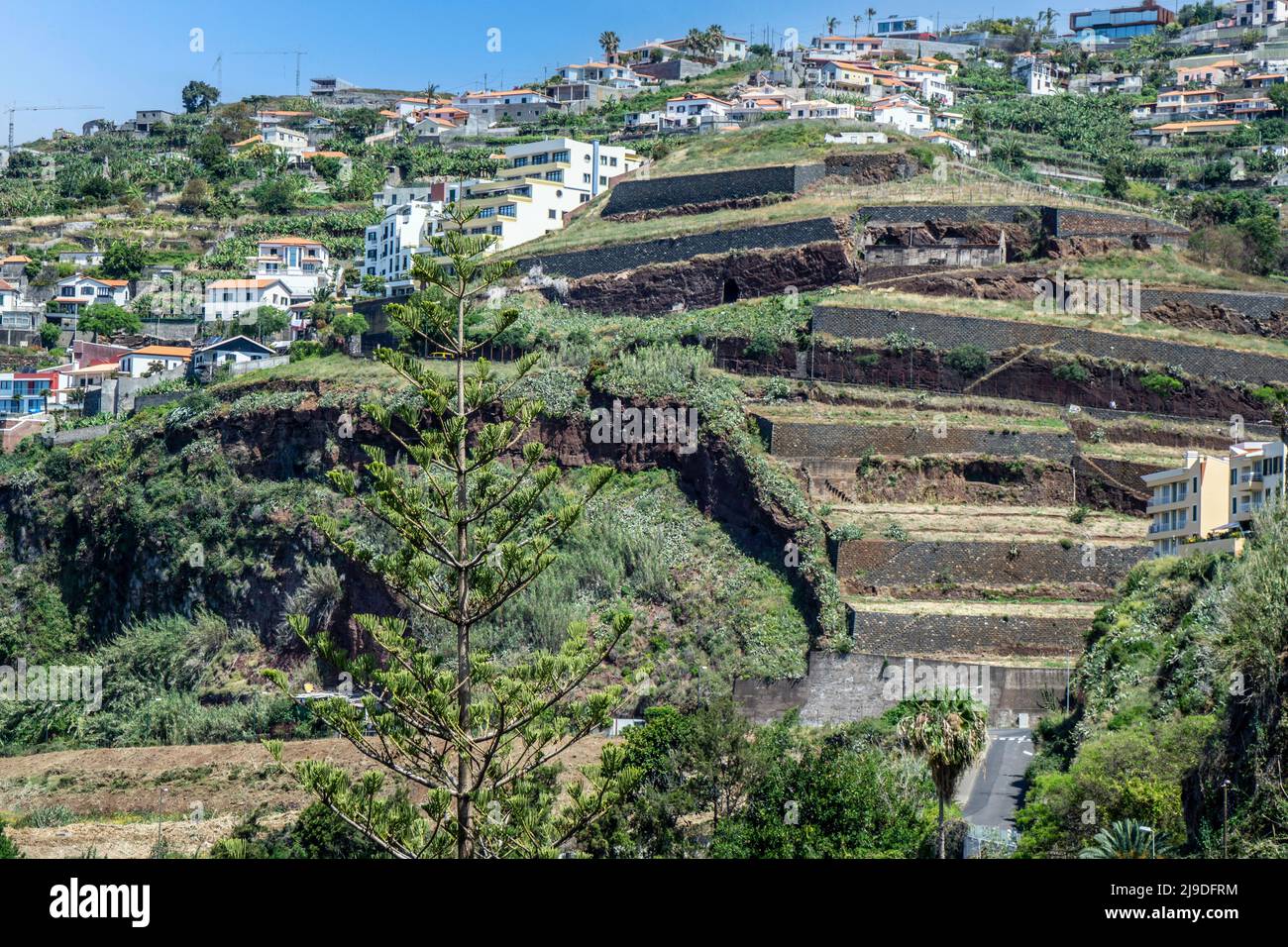 Terrain agricole en terrasse et aménagement de logements inclinés près de San Martinho, Madère. Banque D'Images