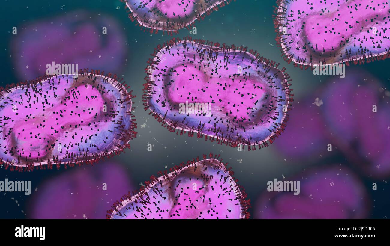 Virus de la variole du singe, maladie zoonotique infectieuse Banque D'Images