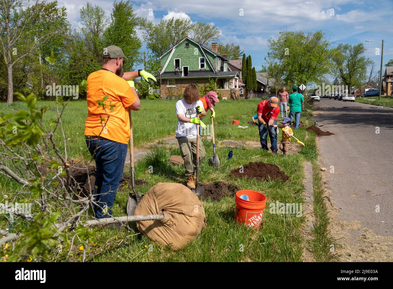 Detroit, Michigan - les bénévoles de l'écologisation de Detroit et de l'organisation communautaire Morningside plantent des arbres du côté est de Detroit. Banque D'Images