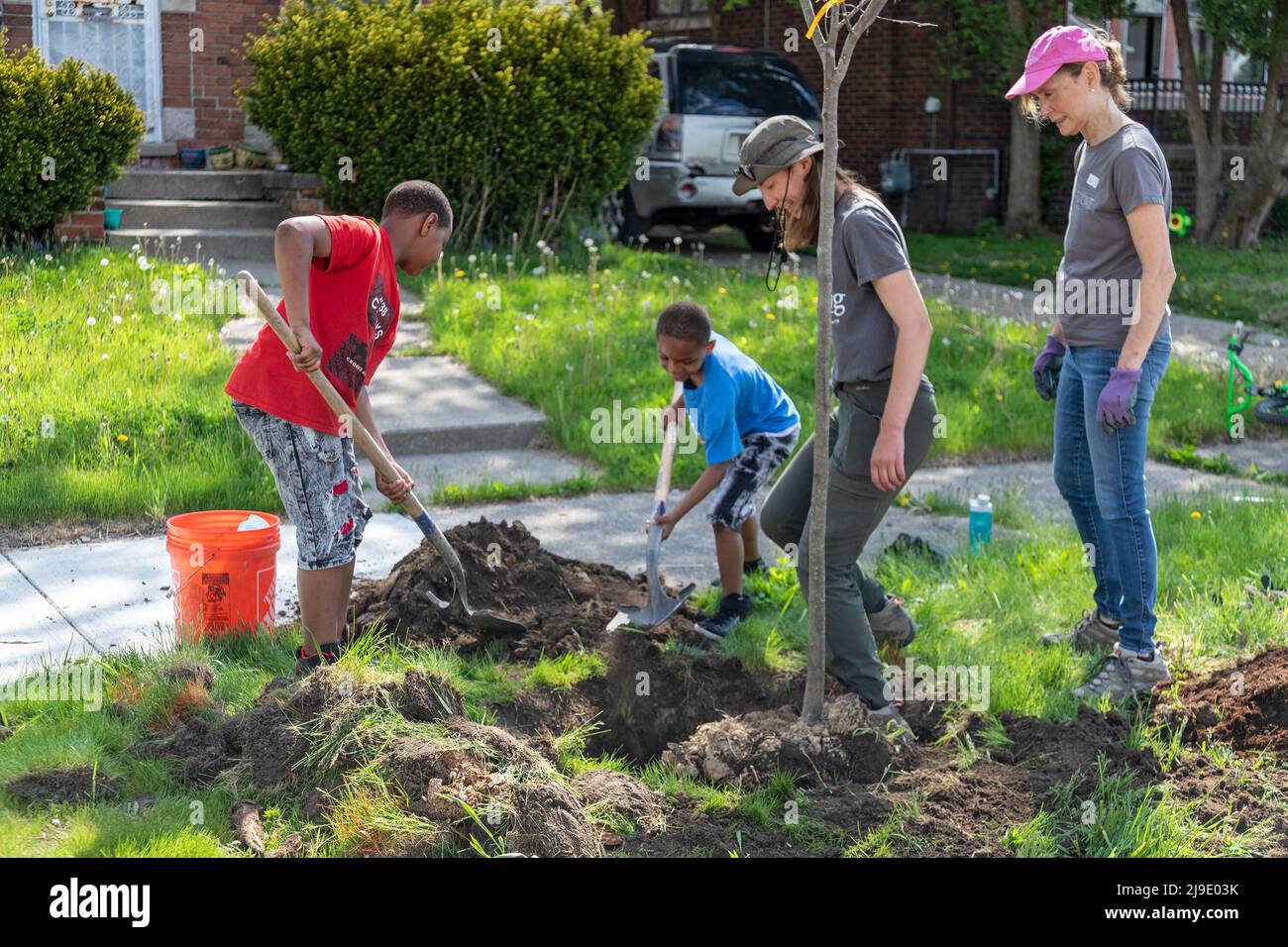 Detroit, Michigan - les bénévoles de l'écologisation de Detroit et de l'organisation communautaire Morningside plantent des arbres du côté est de Detroit. Banque D'Images