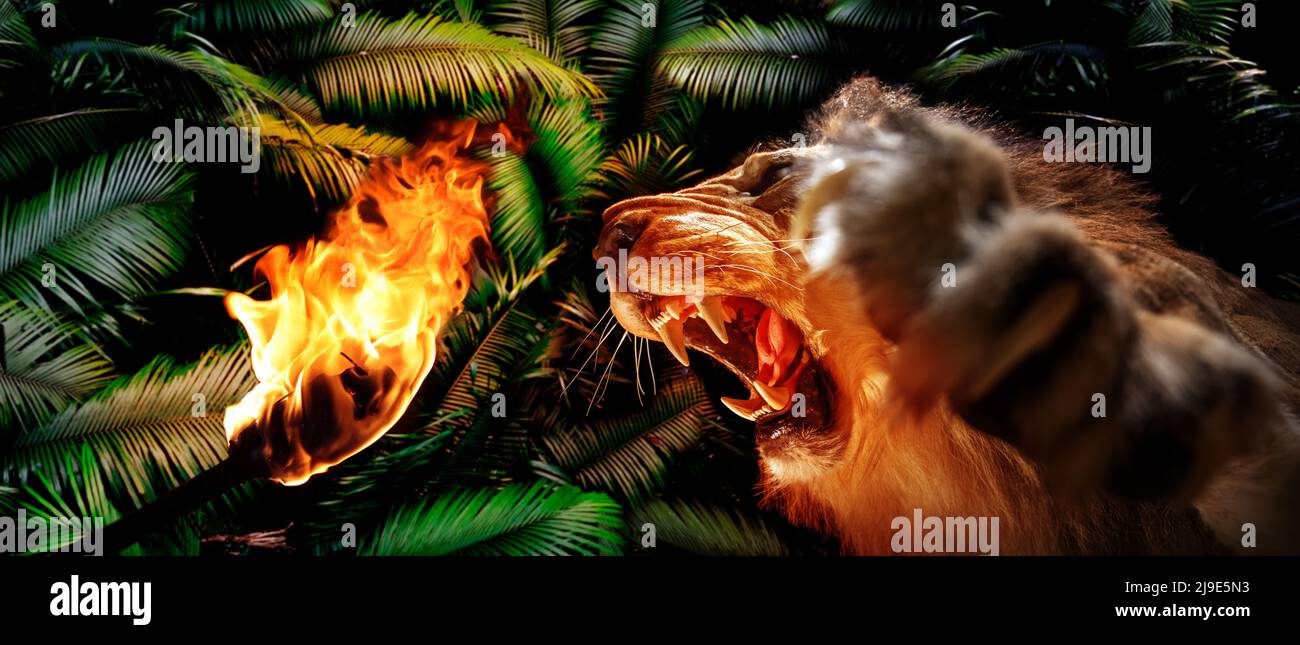 Image imaginaire d'un lion agressif devant une torche en feu Banque D'Images