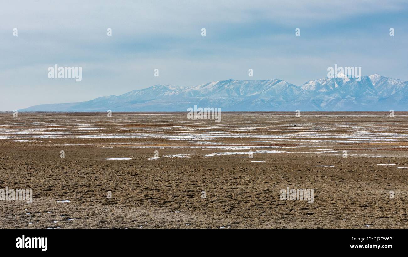 Les montagnes enneigées s'élèvent à travers la brume dans le refuge d'oiseaux migrateurs de Bear River, Utah Banque D'Images