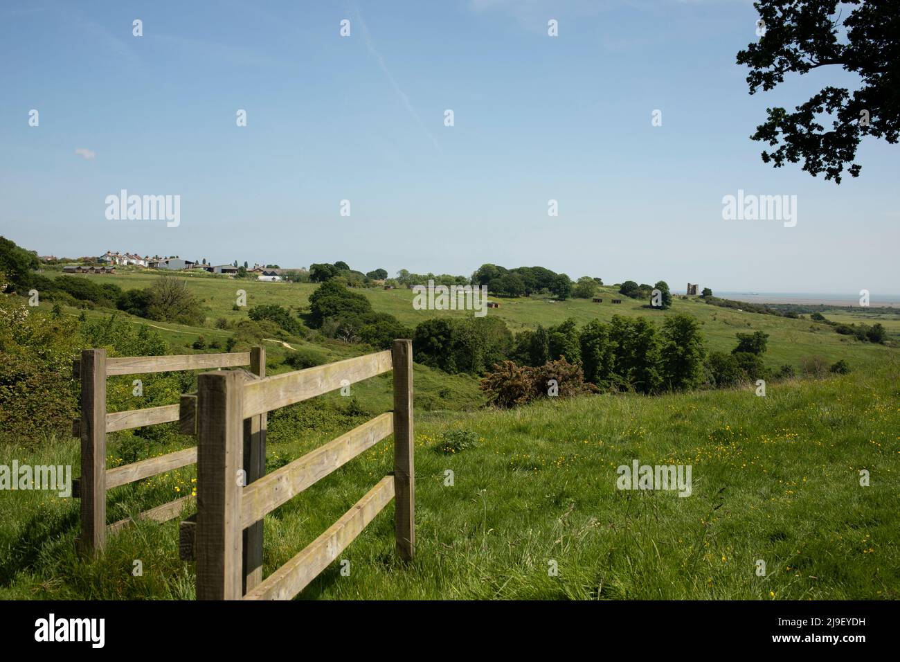 Une porte en bois au premier plan du parc Hadleigh Country Park, Essex, Angleterre. Leigh-on-Sea et le château d'Hadleigh à distance. Banque D'Images