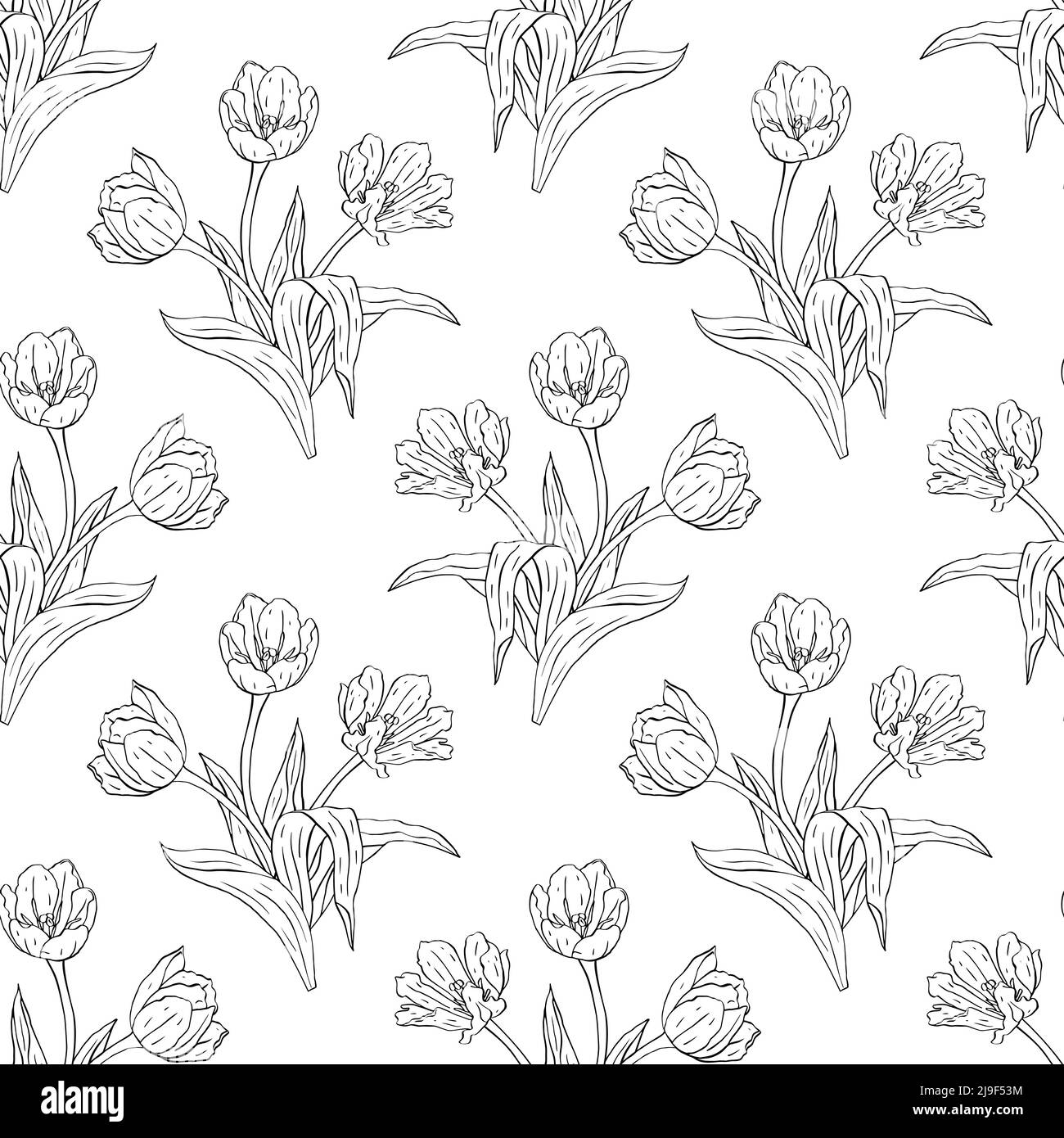 Noir et blanc monochrome vintage sans coutures avec art ligne tulipes fleurs sur blanc Illustration de Vecteur