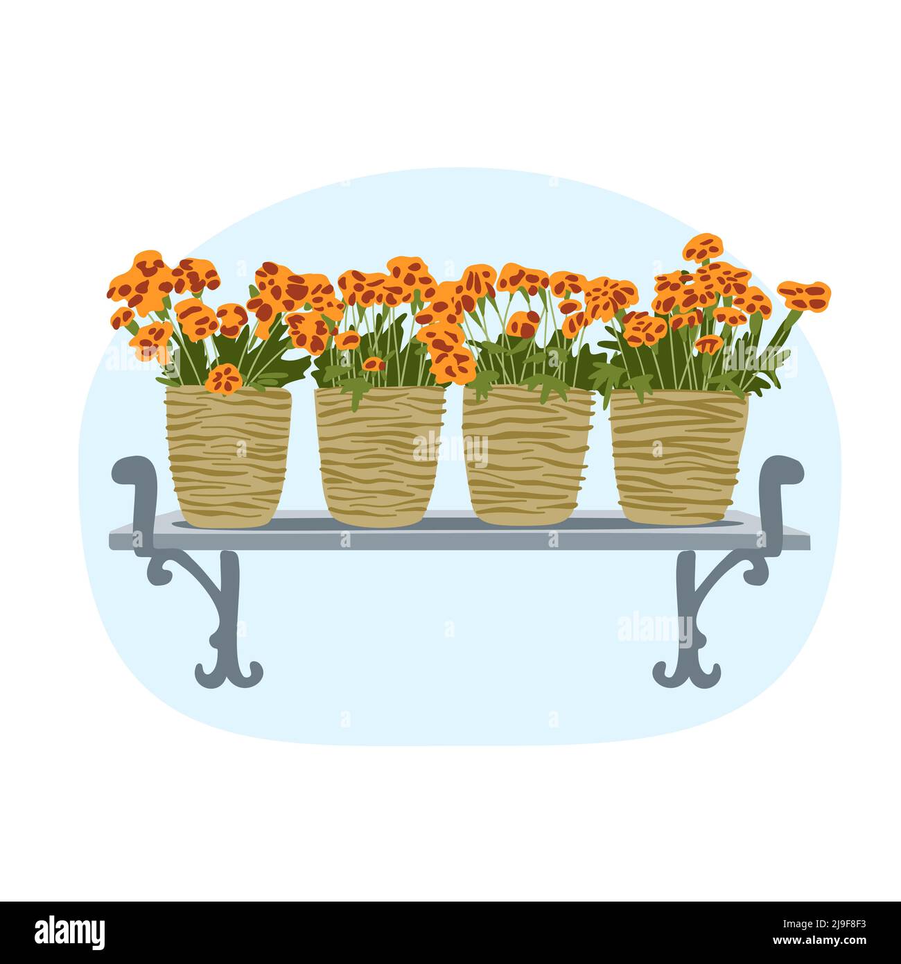 Carte de printemps concept avec fleurs marigolds dans des pots sur le rebord de fenêtre, maison jardinage Happy Morning paisible vecteur d'illustration positive Illustration de Vecteur