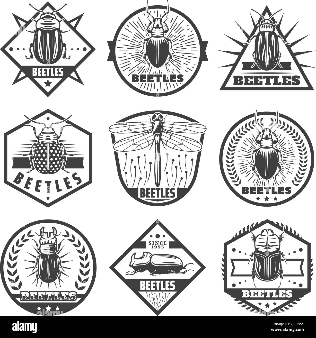 Ensemble d'étiquettes de qualité supérieure vintage à motif coléoptères monochromes avec inscriptions libellules et différents types de bogues ont isolé l'illustration du vecteur Illustration de Vecteur