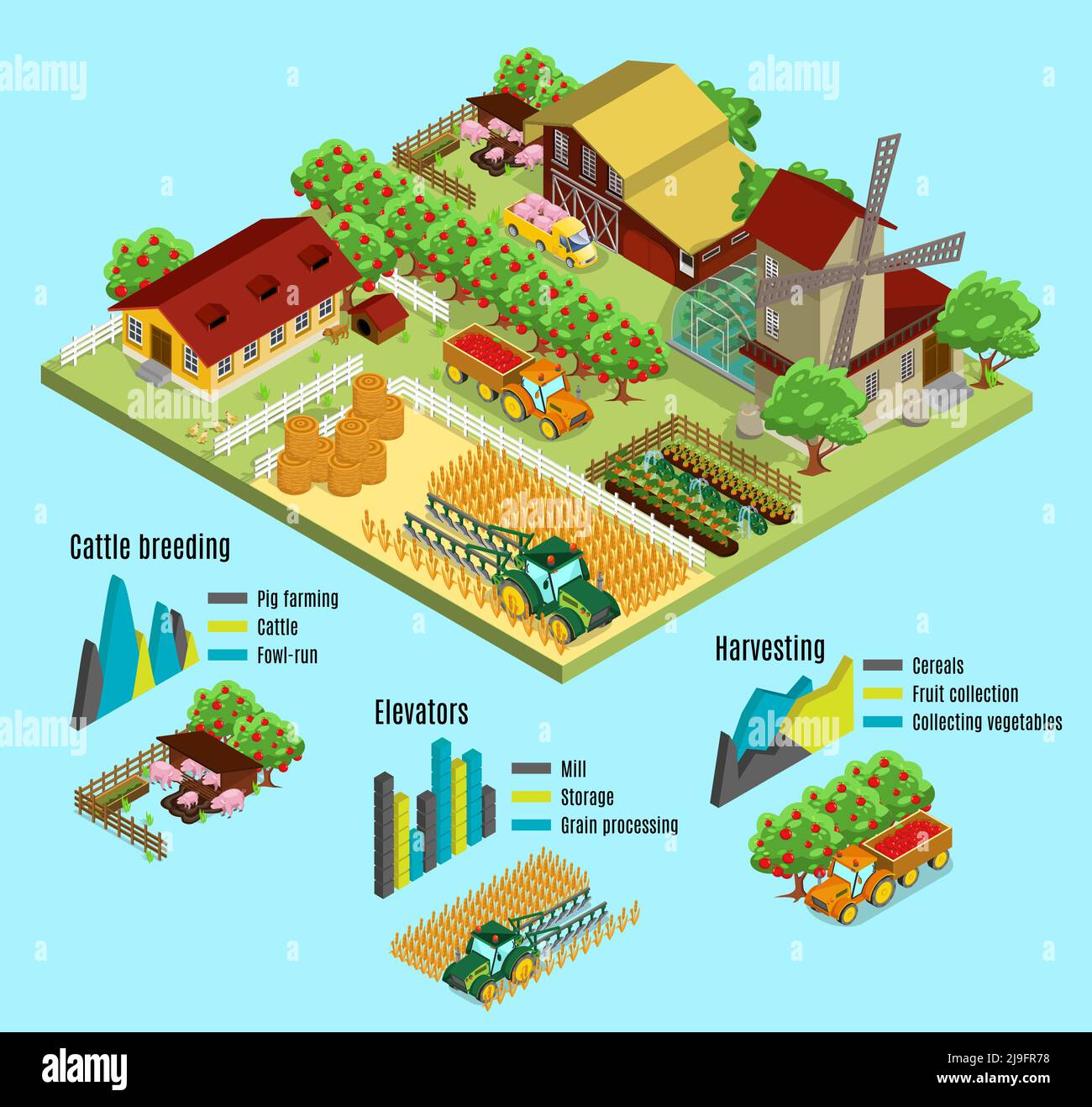 Concept isométrique d'infographie de ferme avec maison de ferme moulin animaux agriculteurs procédé de récolte serres transport de foin graphiques vecteur isolé illustrateur Illustration de Vecteur