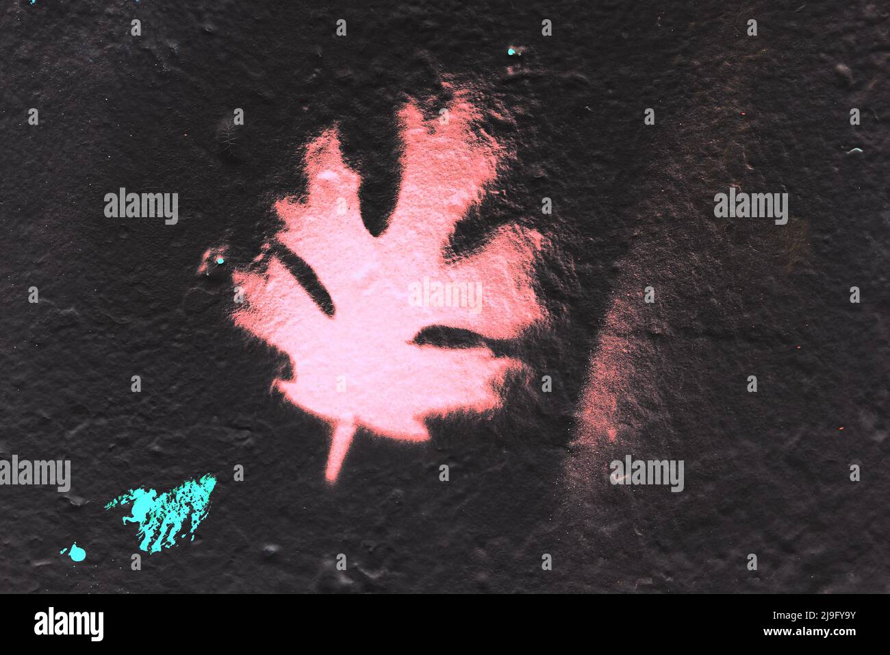 Magnifique art de la nature peint à la main de feuilles d'arbre peintes sur un mur de ville. Banque D'Images