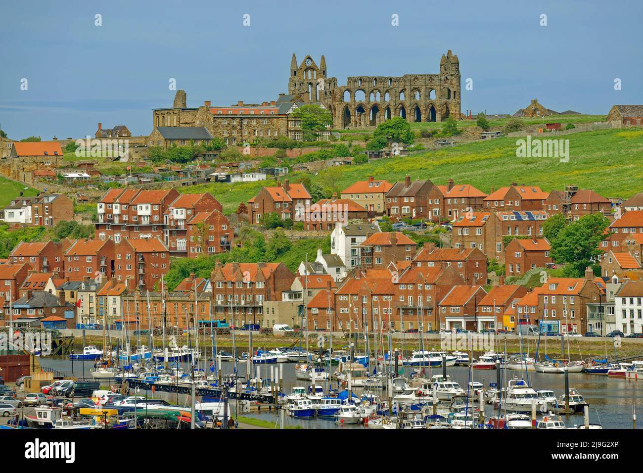 Whitby East Cliff avec l'abbaye de Whitby au-delà et le port de plaisance de Whitby sur la rivière Esk en premier plan, North Yorkshire, Angleterre. Banque D'Images