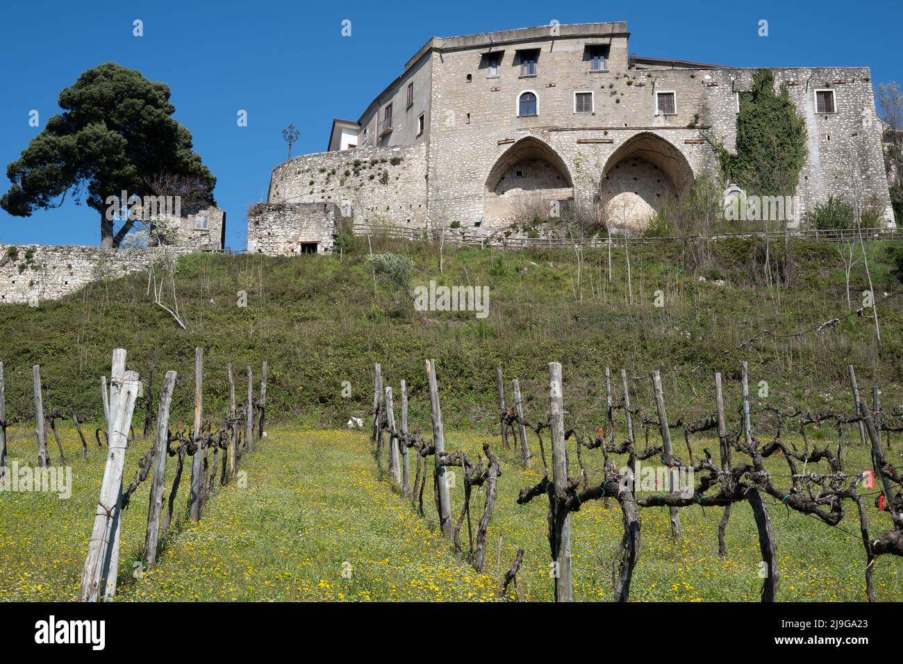 Village fortifié de Taurasi au sommet de la colline, vignoble en face du vieux village dans le sud de l'Italie Banque D'Images
