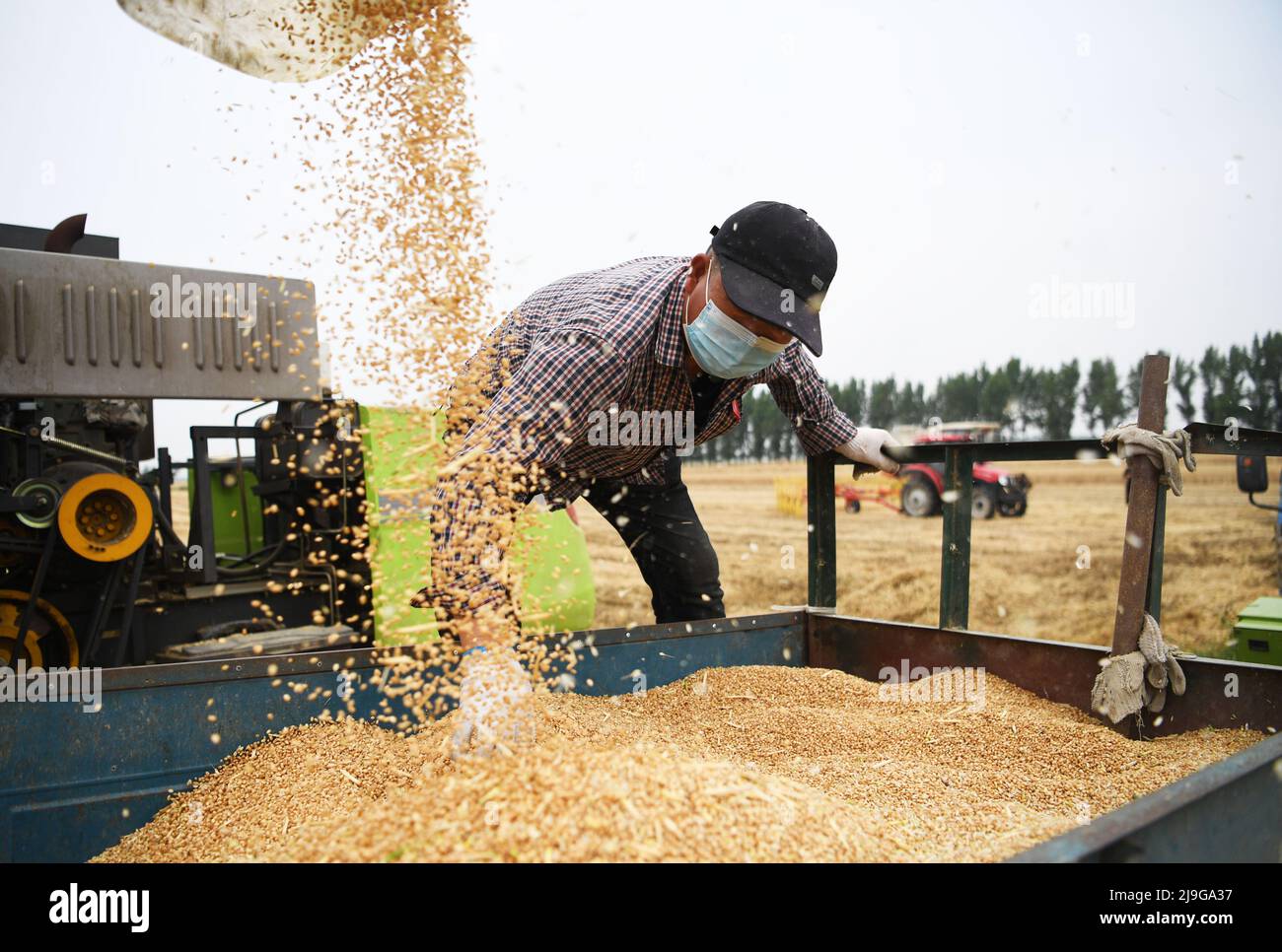 Zhengzhou, province chinoise du Henan. 22nd mai 2022. Un agriculteur récolte du blé dans les champs de la ville de Huyang, dans le comté de Tanghe, dans la ville de Nanyang, dans la province de Henan, au centre de la Chine, le 22 mai 2022. Les agriculteurs du sud du Henan sont maintenant préoccupés par les entreprises agricoles alors que la récolte estivale bat son plein. Credit: Zhang Haoran/Xinhua/Alamy Live News Banque D'Images