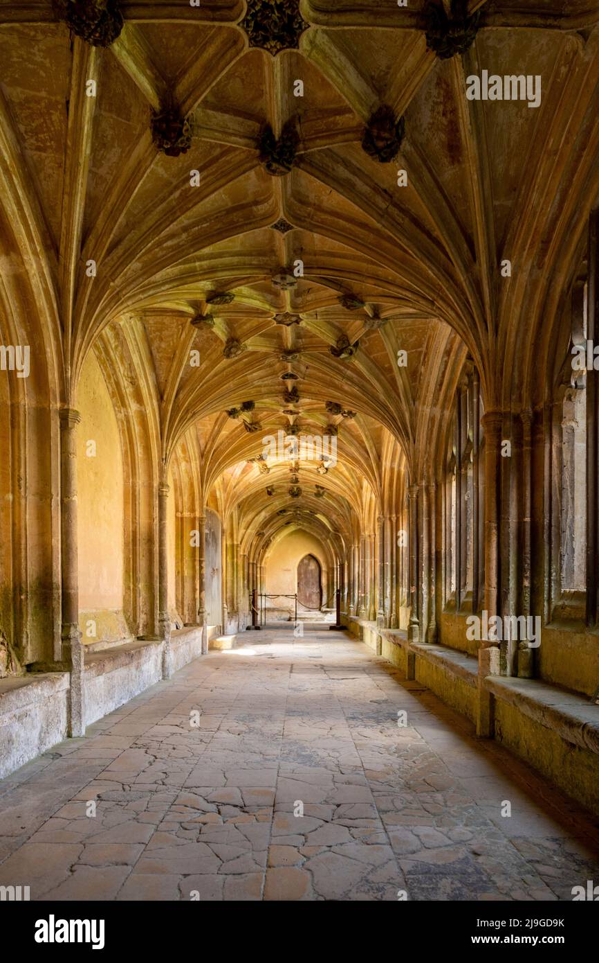 Vue intérieure du cloître de l'abbaye de Lacock, un monument médiéval, Chippenham, Cotswolds, Wiltshire, Angleterre, Royaume-Uni. Banque D'Images