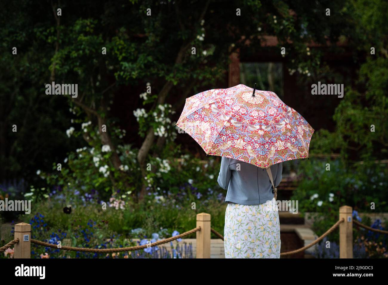 Londres, Royaume-Uni. 23 mai 2022. Atmosphère pendant le jour de la presse du RHS Chelsea Flower Show, au Royal Hospital Chelsea, Londres. Date de la photo: Lundi 23 mai 2022. Le crédit photo devrait se lire: Matt Crossick/Empics/Alamy Live News Banque D'Images