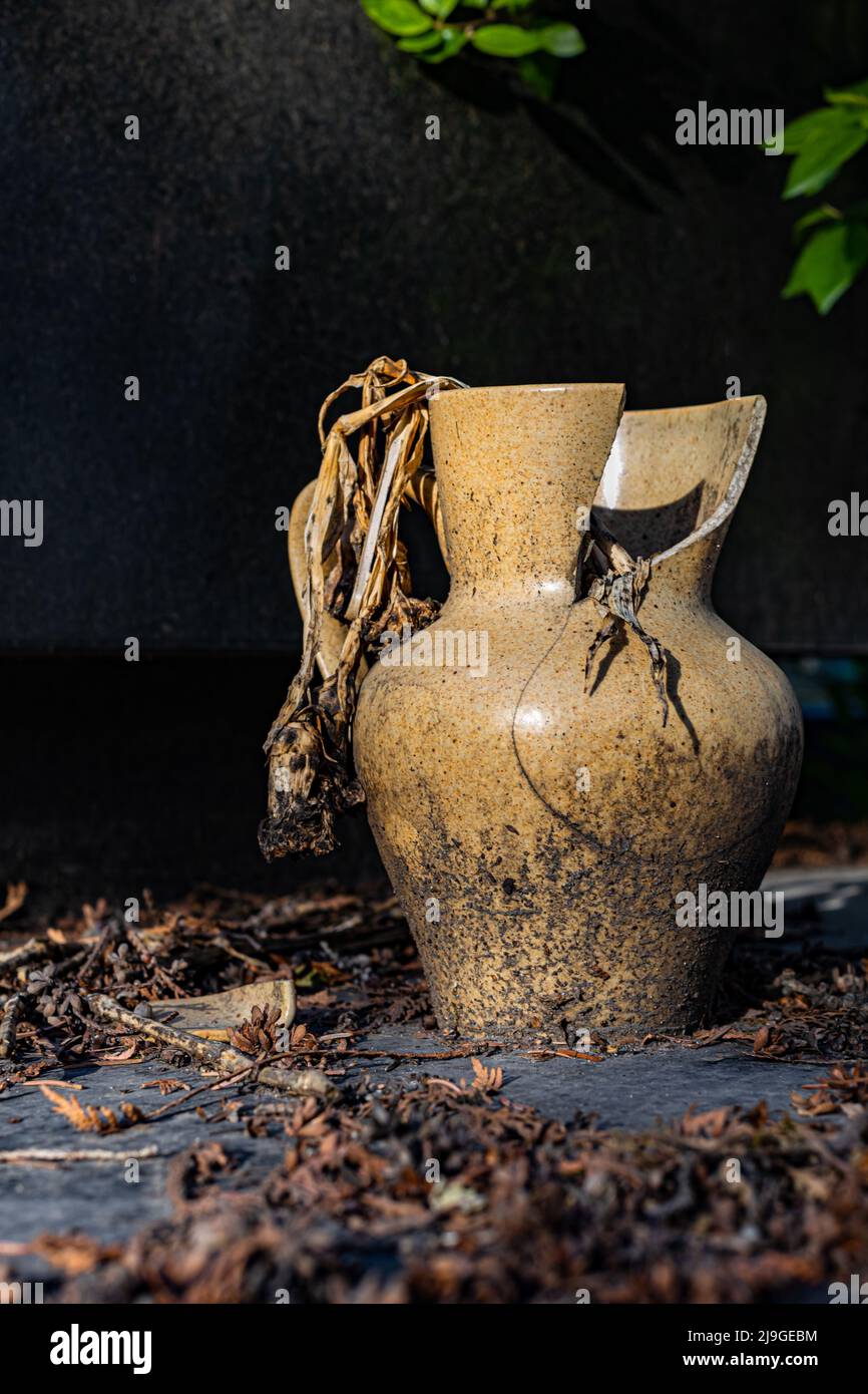 vieux vase endommagé d'où une fleur sèche colle. Photo de haute qualité Banque D'Images