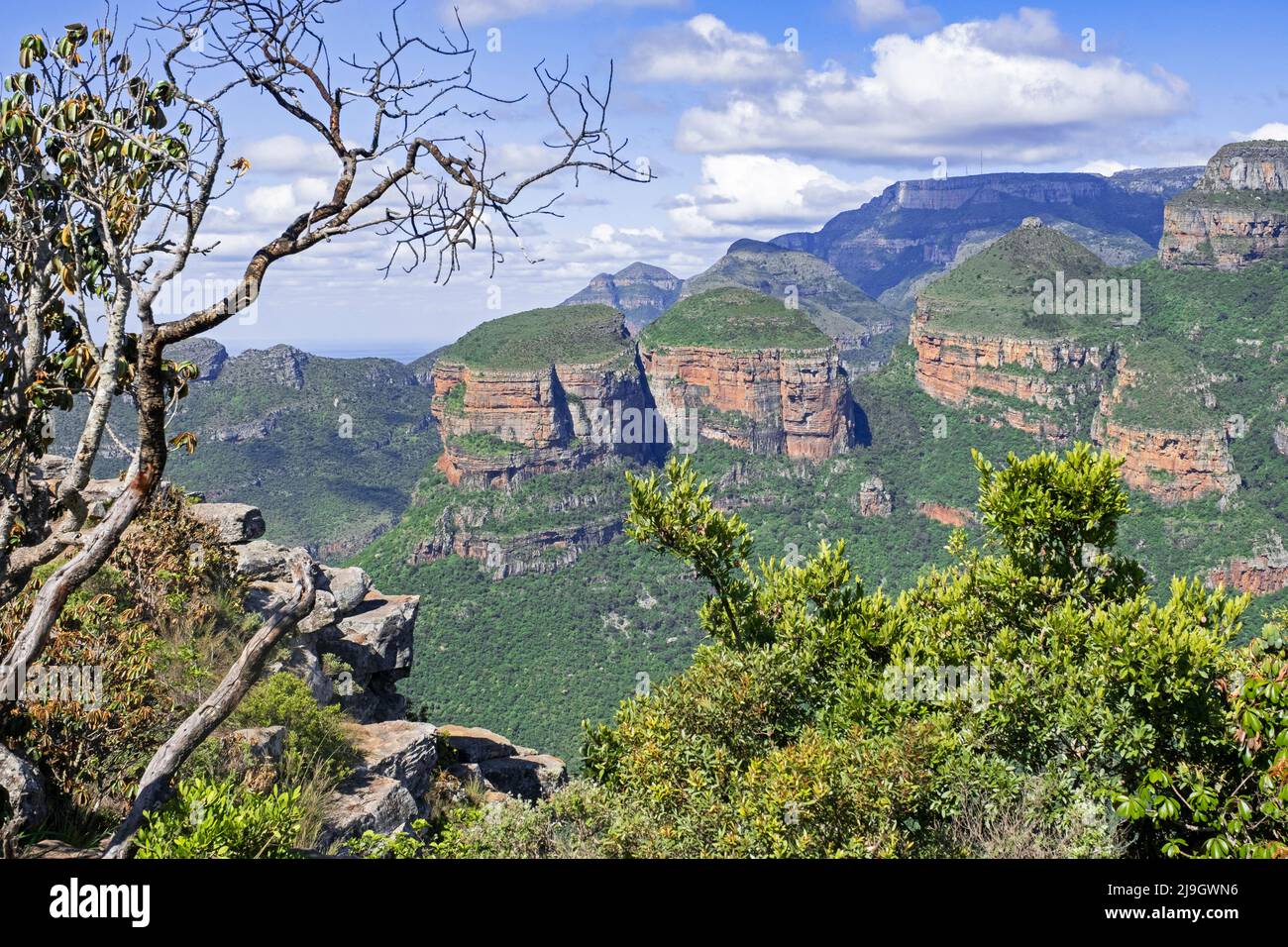 Trois Rondavels, sommets de montagne couverts d'herbe dans la réserve naturelle de Blyde River Canyon, province de Mpumalanga, Afrique du Sud Banque D'Images