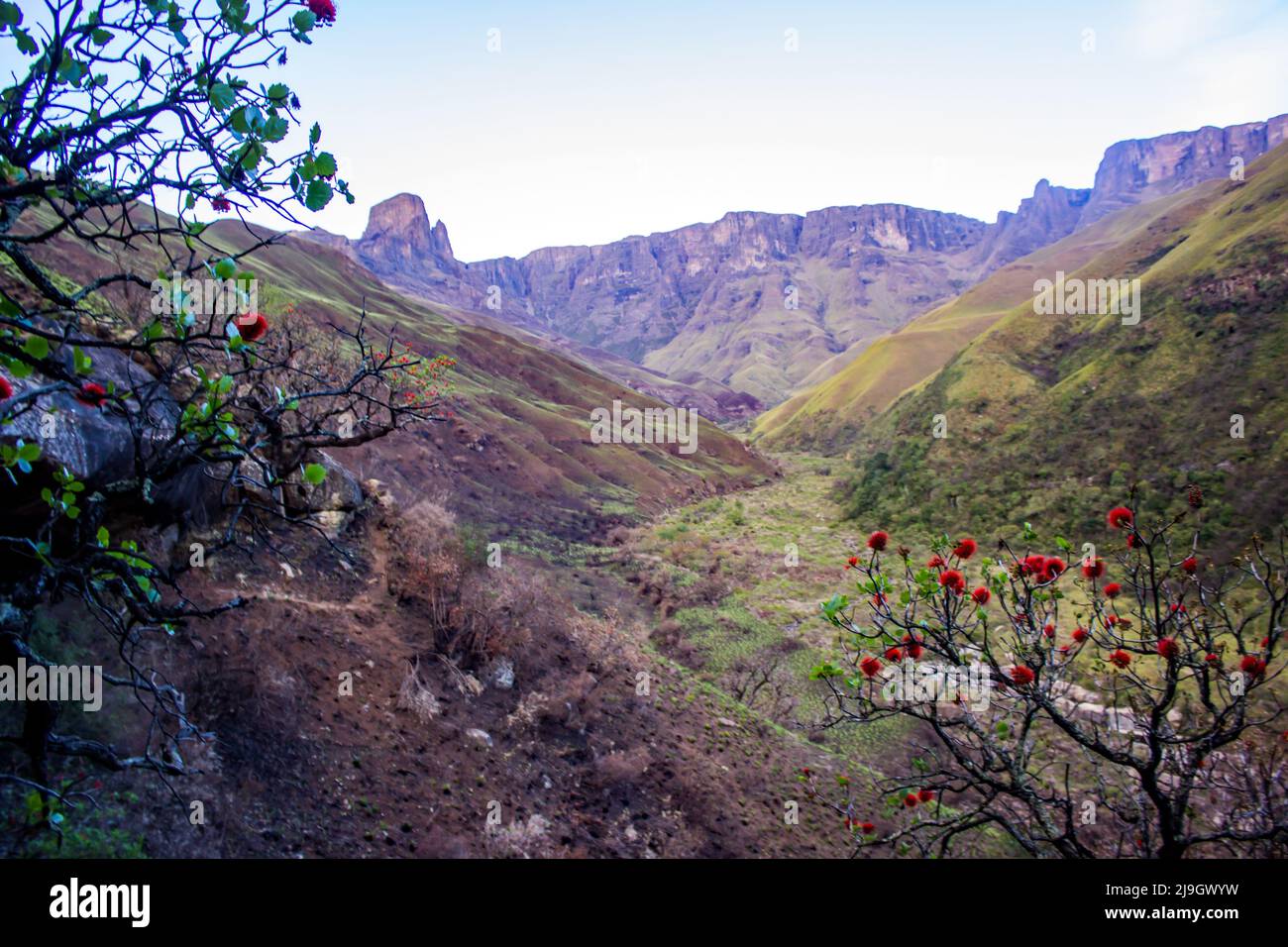 Une gorge isolée dans les montagnes du Drakensberg en Afrique du Sud, avec les falaises escarpées qui s'élèvent en arrière-plan Banque D'Images