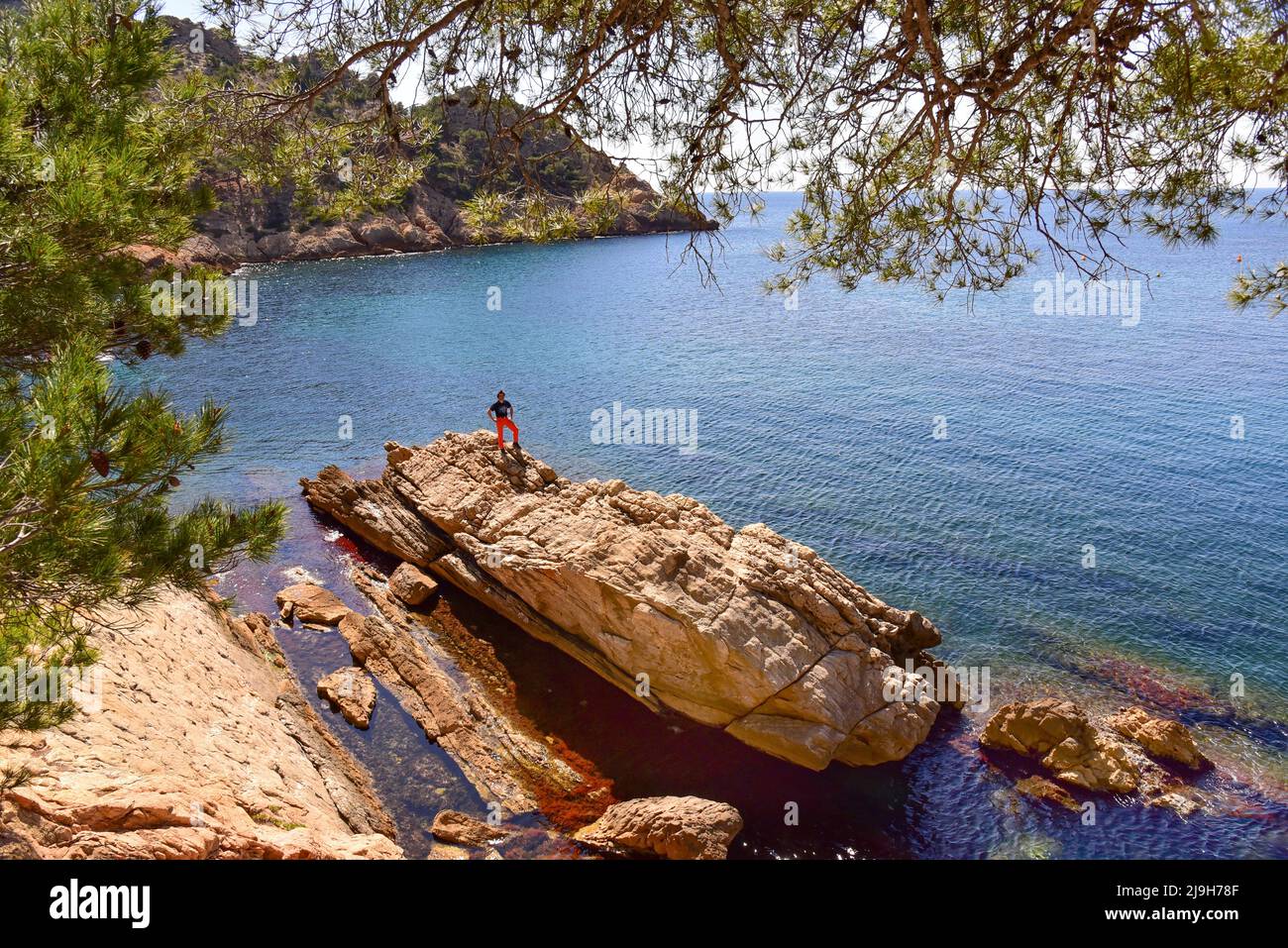 Calanque de Méjan sur la voie douanière (chemin des Douaniers) sur la Côte d'Azur, Provence-Alpes-Côte d'Azur, France, Europe Banque D'Images