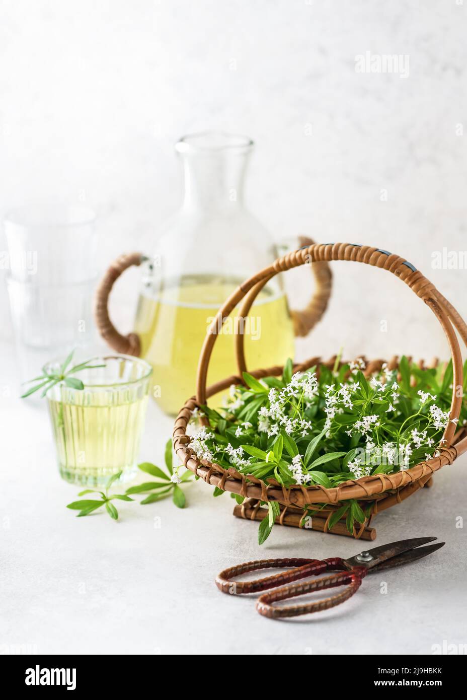 Panier avec plantes de fleurs de cercueil fraîchement récoltées pour la préparation de la limonade ou du sirop. Banque D'Images