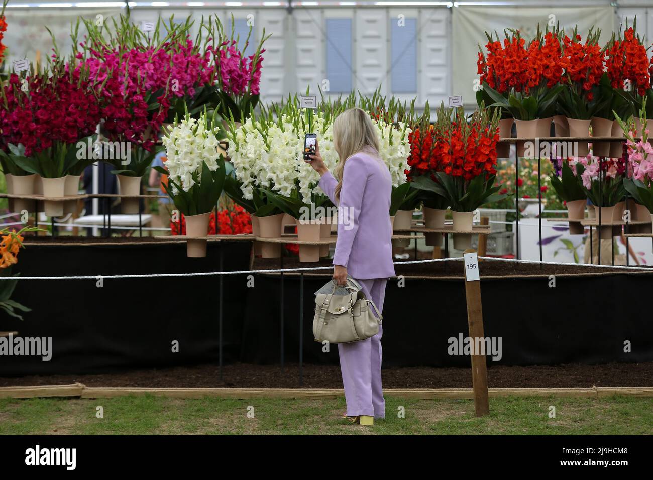 Londres, Royaume-Uni. 23rd mai 2022. Une femme prend des photos de l'exposition de fleurs au Chelsea Flower Show 2022 le jour de la prévisualisation de la presse. Crédit : SOPA Images Limited/Alamy Live News Banque D'Images