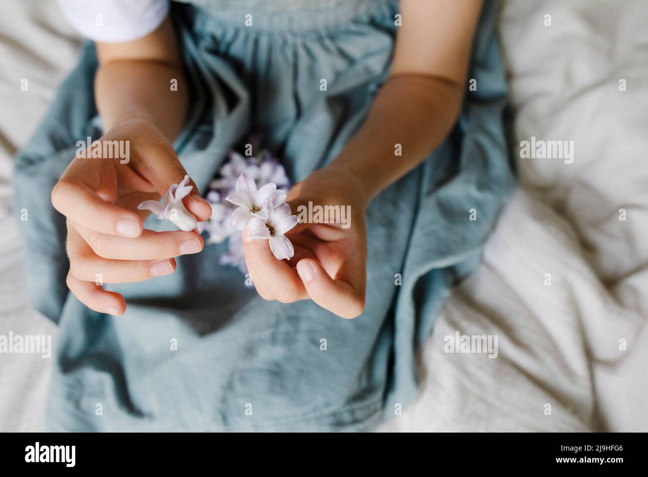 Mains de fille tenant des fleurs violettes à la maison Banque D'Images