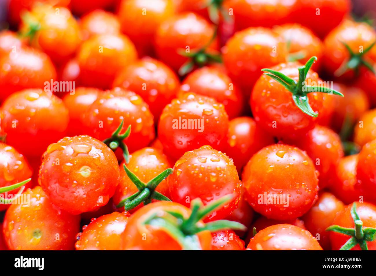 Tomates cerises fraîchement rincées à l'eau. Banque D'Images