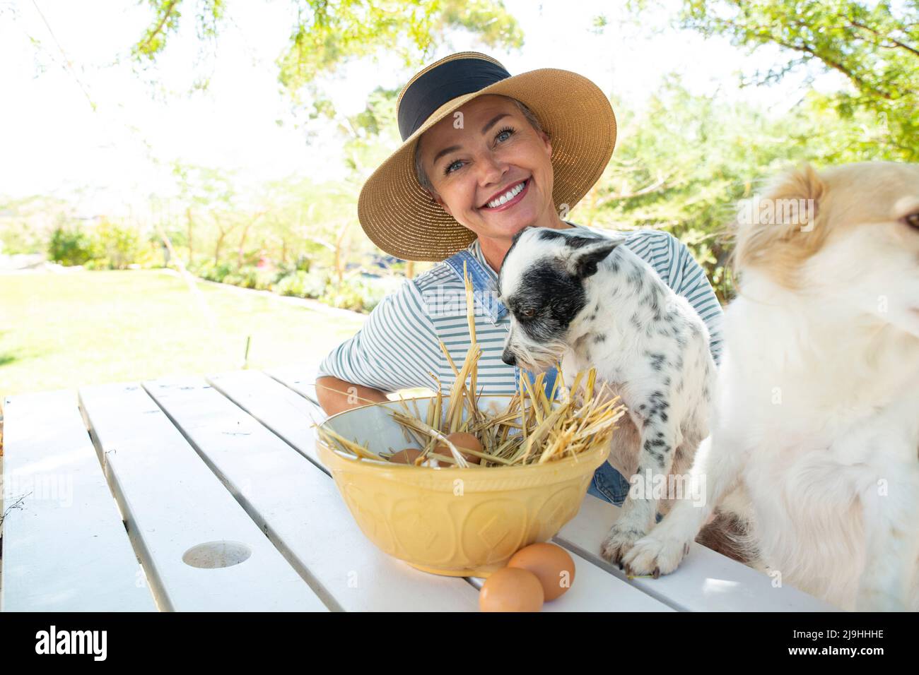 Femme souriante et chiens assis avec un bol d'œufs à la table dans le jardin Banque D'Images