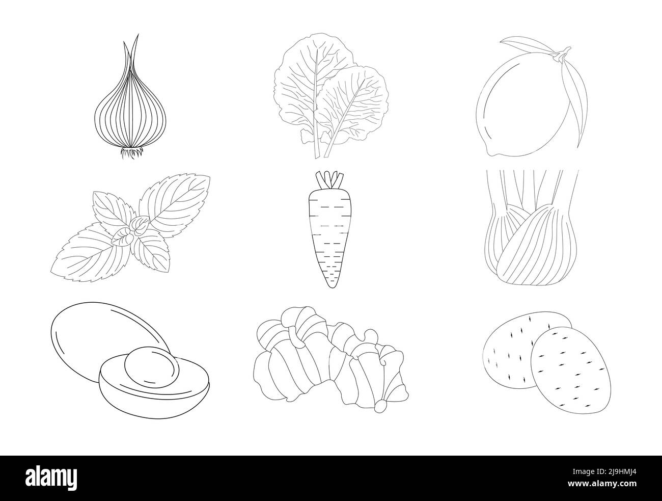 Illustrations vectorielles de pages de coloriage de légumes sur fond blanc, Livre de coloriage pour enfants Illustration de Vecteur