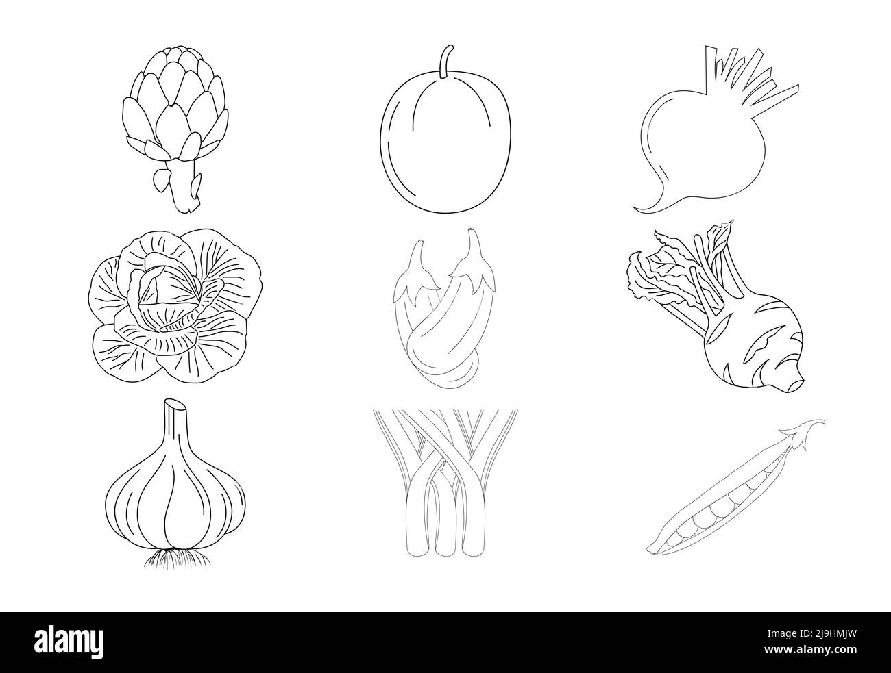 Illustrations vectorielles de pages de coloriage de légumes sur fond blanc, Livre de coloriage pour enfants Illustration de Vecteur