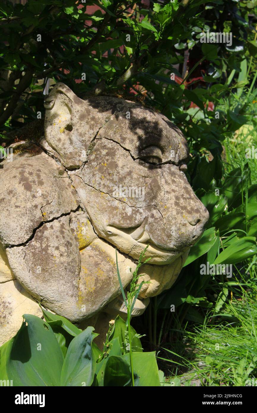 Alter Gargoyle aus Stein im Blumenbeet, Hessen, Allemagne. Banque D'Images