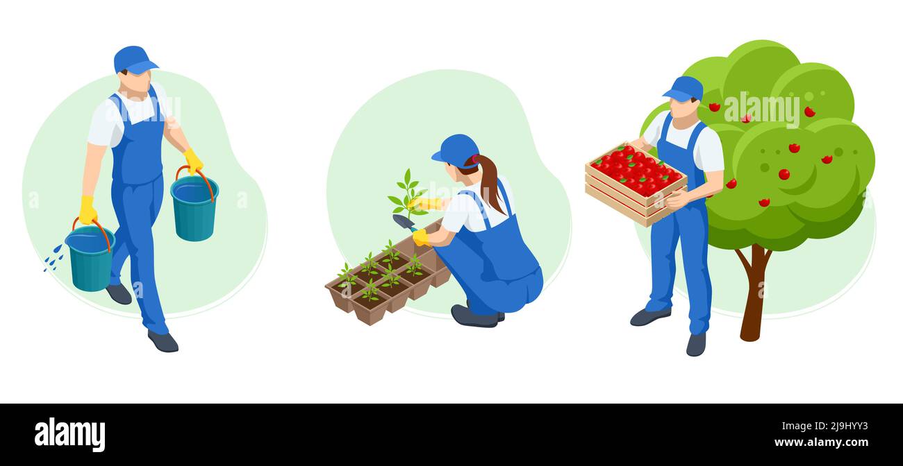 Jardiniers isométriques, agriculteurs et travailleurs s'occupant du jardin, cultivant des produits agricoles. Pommes mûres en verger prêtes pour la récolte Illustration de Vecteur