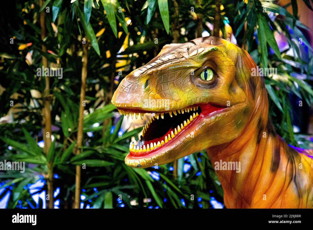 Jungle Exploreres mini-parcours de golf à MR Mulligan's Lost World, Stevenage, Hertfordshire, Royaume-Uni Banque D'Images