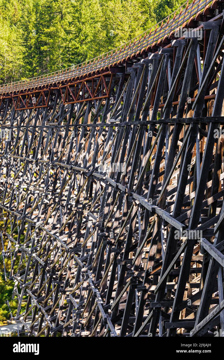 Vue sur le pont de chemin de fer en bois Kinsol Trestle, sur l'île de Vancouver, en Colombie-Britannique, au Canada. Photo de voyage, personne, mise au point sélective Banque D'Images