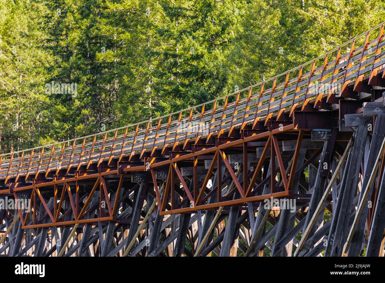 Vue sur le pont de chemin de fer en bois Kinsol Trestle, sur l'île de Vancouver, en Colombie-Britannique, au Canada. Photo de voyage, personne, mise au point sélective Banque D'Images