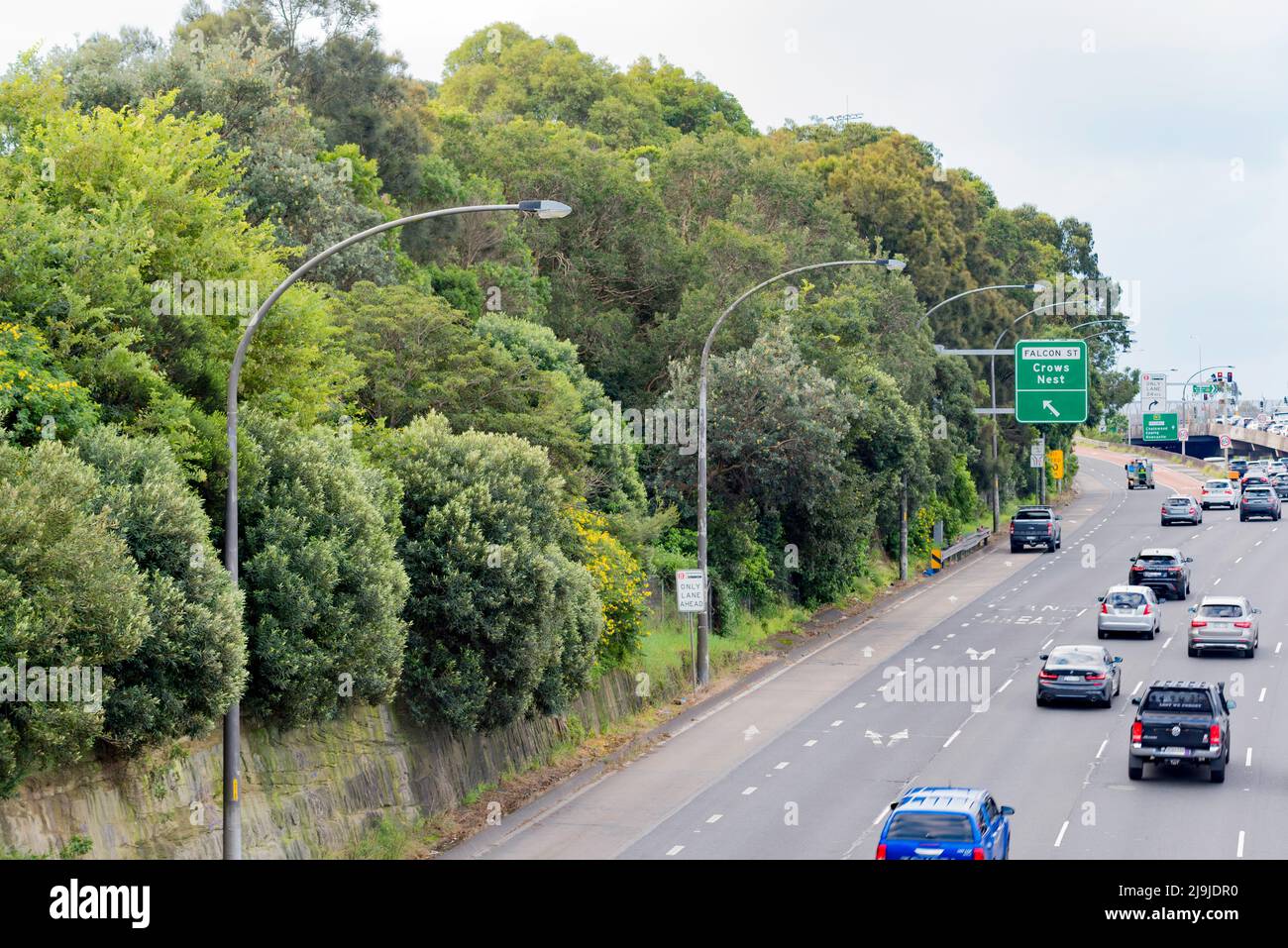 En regardant vers le nord depuis North Sydney, trafic en fin d'après-midi en semaine se déplaçant sur la Gore Hill Freeway à Sydney, Nouvelle-Galles du Sud, Australie Banque D'Images