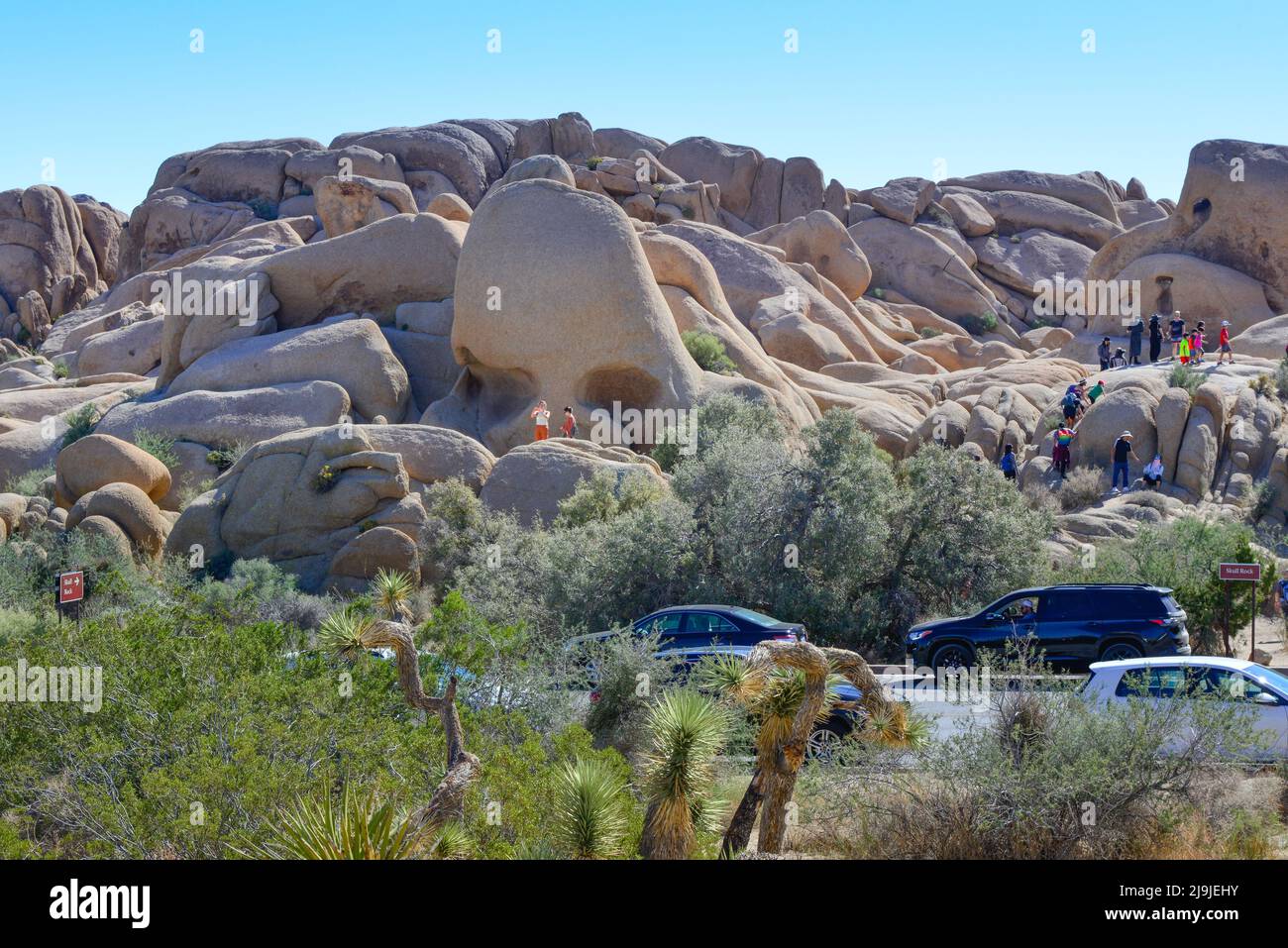 'Shkull Rock', Un point de repère dans le parc national de Joshua Tree, est escaladé par les touristes sur les rochers uniques, dans le désert de Mojave, CA Banque D'Images