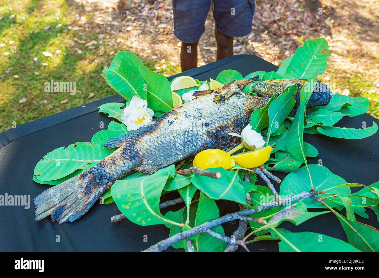 Barramundi poisson cuit au feu et présenté sur des feuilles d'eucalyptus sur une table pendant le festival Taste of Kakadu, Cooinda, parc national de Kakadu, NOR Banque D'Images
