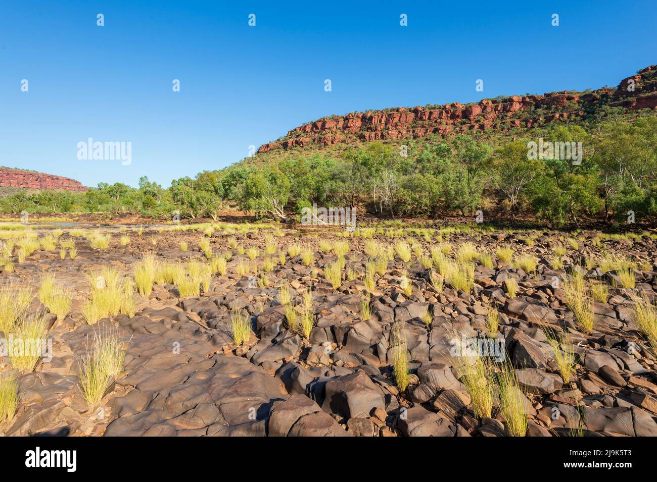 Vue panoramique sur le lit de repos sec de la rivière Victoria avec des touffs d'herbe, parc national Gregory, territoire du Nord, territoire du Nord, Australie Banque D'Images
