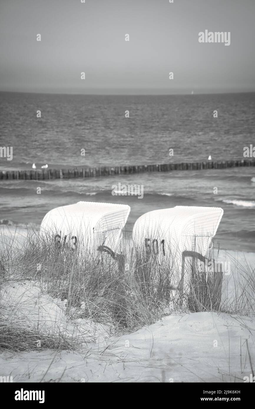 Chaise de plage en noir et blanc sur la plage de la mer Baltique à Zingst. Soleil, ciel bleu et loisirs au bord de la mer. Sable et vagues dans la nature. Paysage Banque D'Images