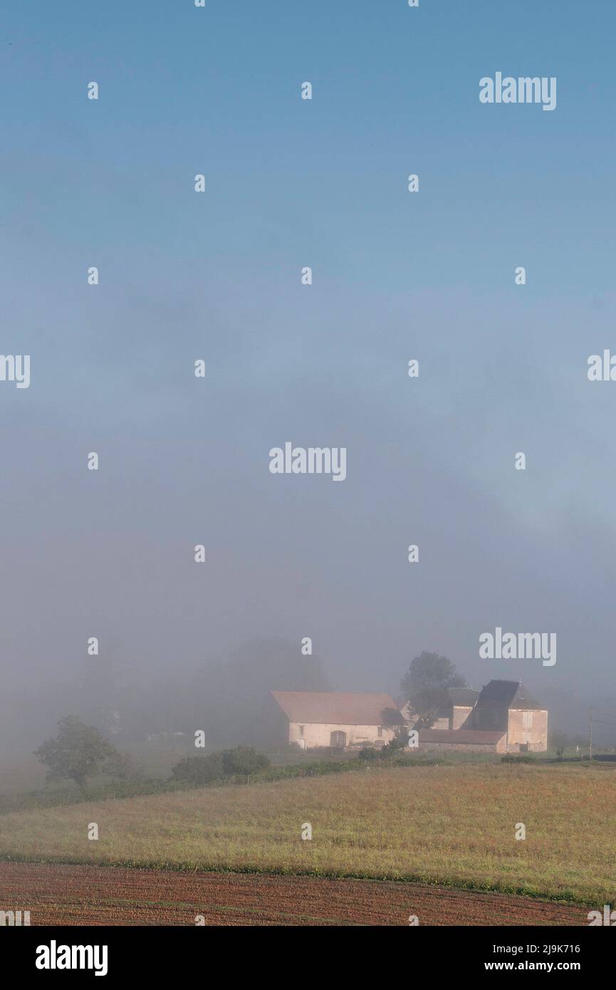 Lantis un matin brumeux, Degnac, département de Lot, France Banque D'Images