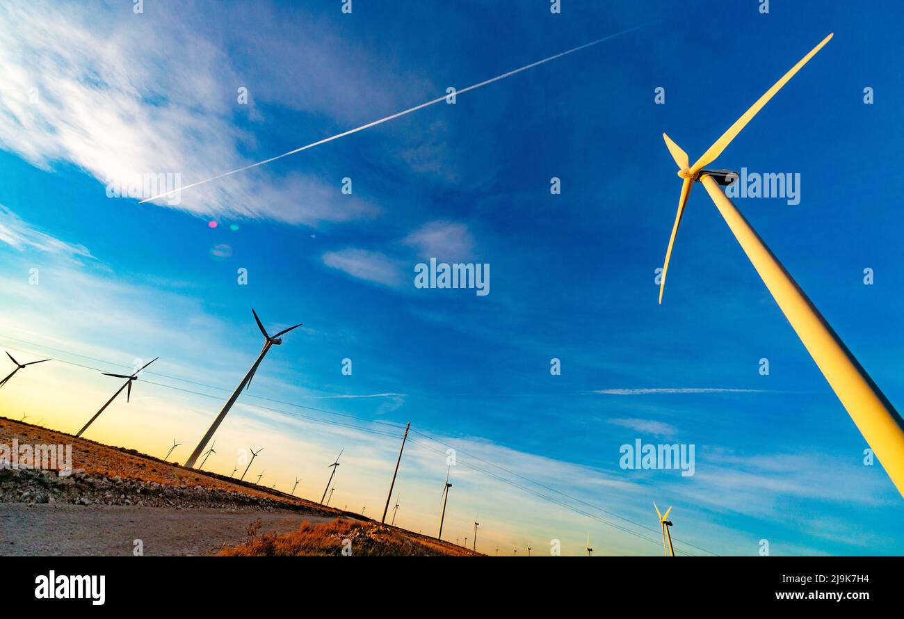 éoliennes pour la production d'électricité avec espace de copie. Concept d'énergie verte. Ferme du moulin à vent dans le champ Banque D'Images