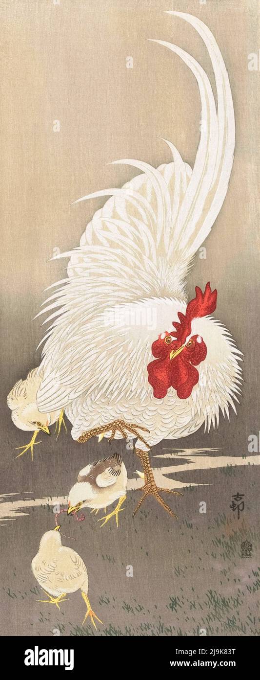 Rooster et Three Chicks, par l'artiste japonais Ohara Koson, 1877 - 1945. Ohara Koson faisait partie du mouvement Shin-hanga, ou de nouveaux tirages. Banque D'Images